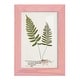 preview thumbnail 55 of 138, Nature Printed Ferns IX -Framed Print w/glass-Cherry Red 4x6 - Pink