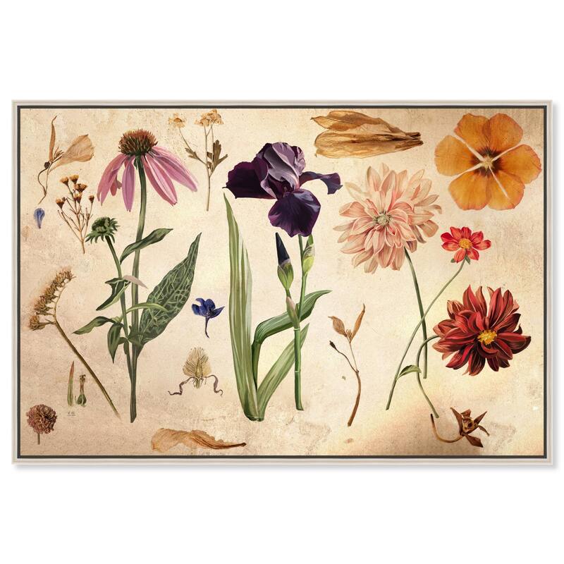 Floral Selection II Canvas by Art Remedy - Silver - 45" x 30"