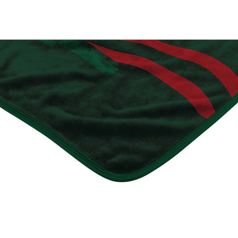 NHL Minnesota Wild Digitize Raschel Throw Blanket