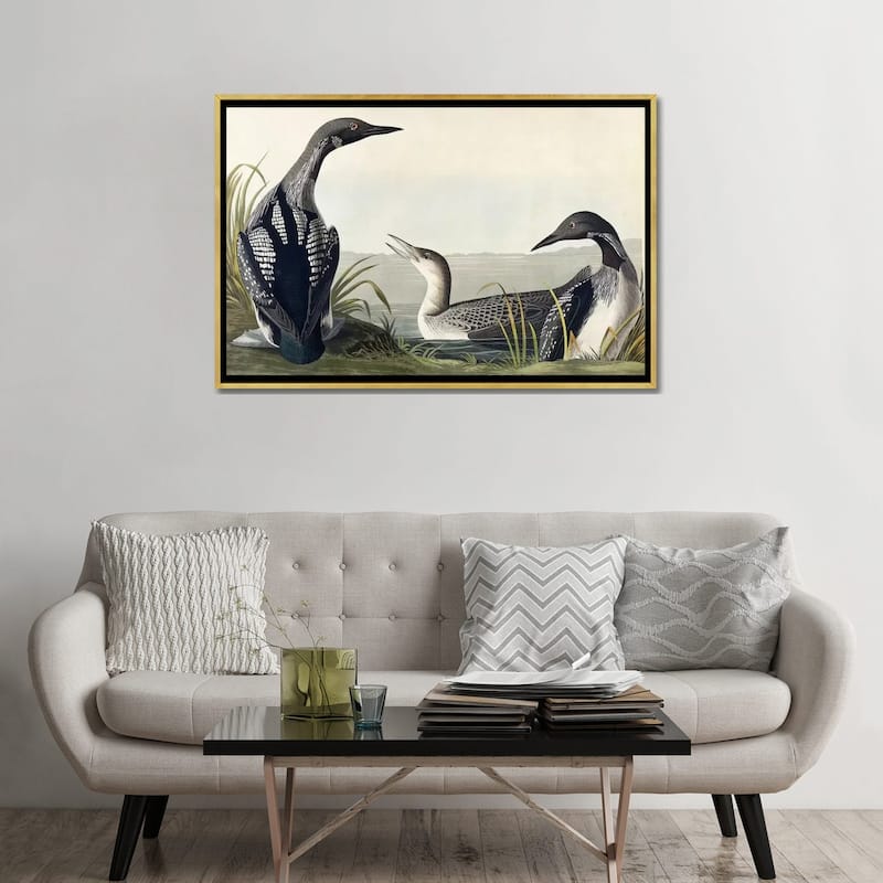 iCanvas "Black-throated Diver " by John James Audubon Framed Canvas Print