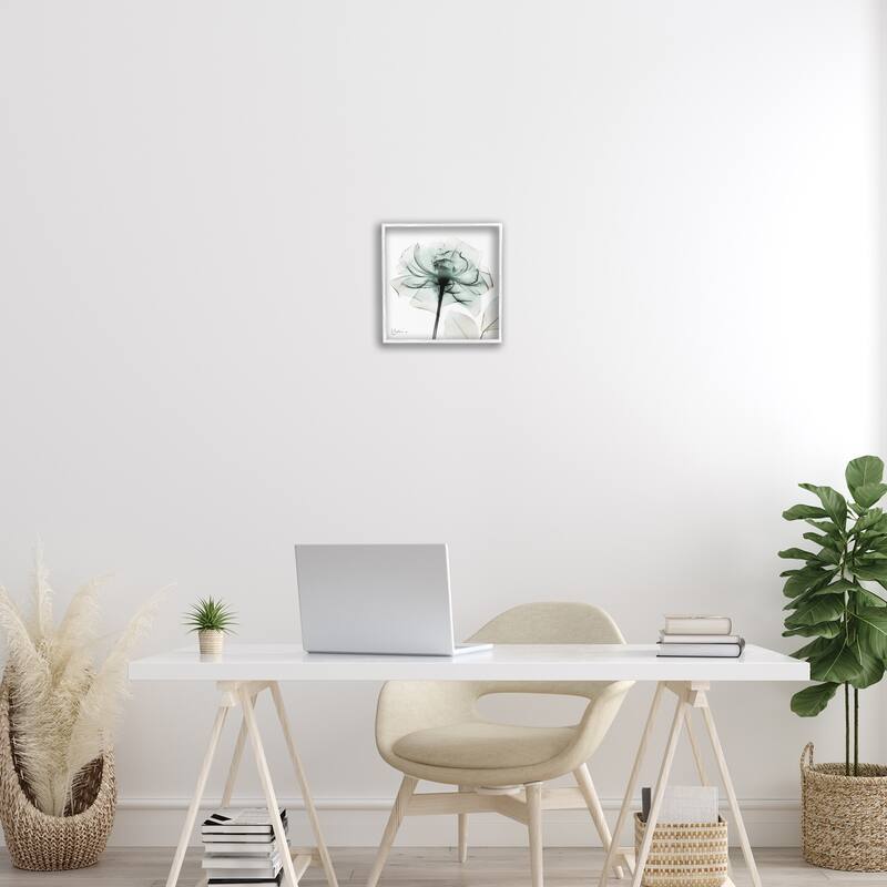 Stupell Transparent Flower Blossom Framed Giclee Art Design By Albert Koetsier
