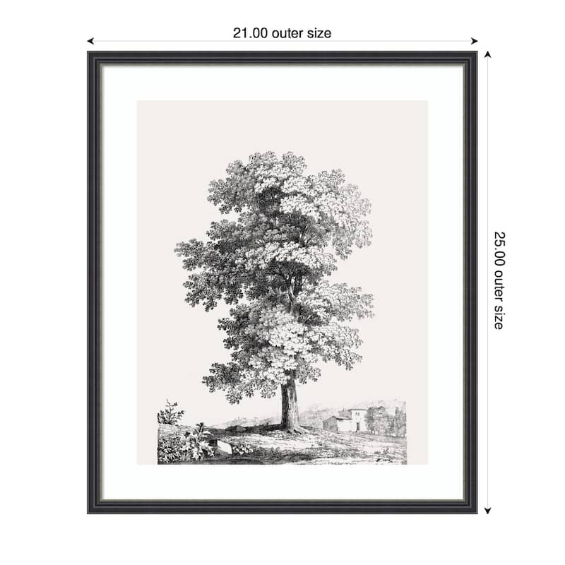 Kate and Laurel Framed Art Jean Victor Bertin Study of a Tree 1816 by The Art Institute of Chicago