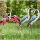 Option Set of 4 Crane & Flamingo
