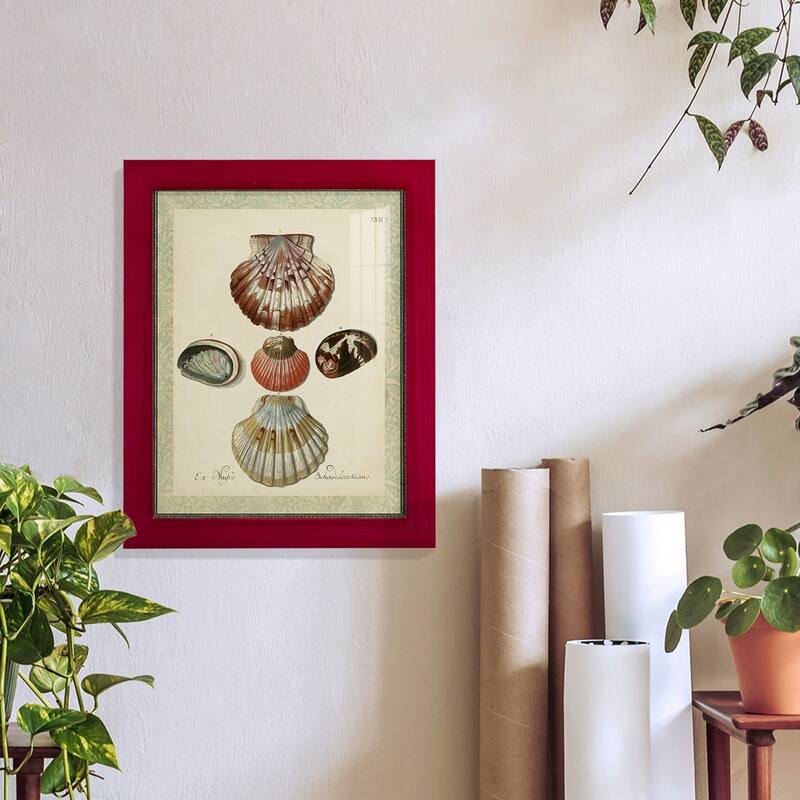 Bookplate Shells III -Framed Print w/glass-Cherry Red