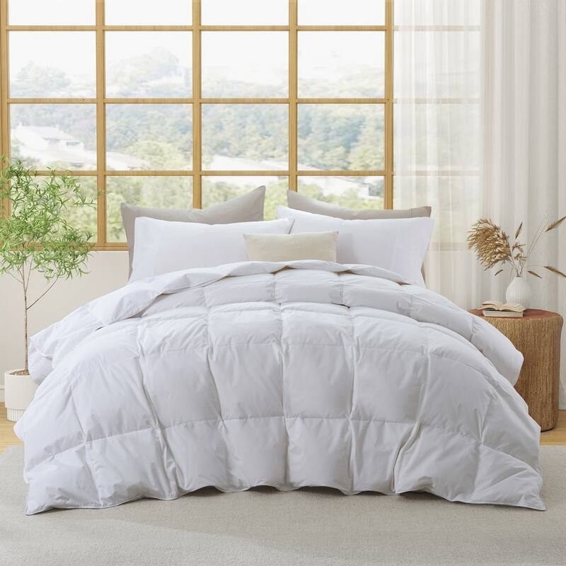 All Season 300TC Organic Cotton Down Comforter - 100% Natural, Chemical-Free, Medium Warmth Duvet Insert
