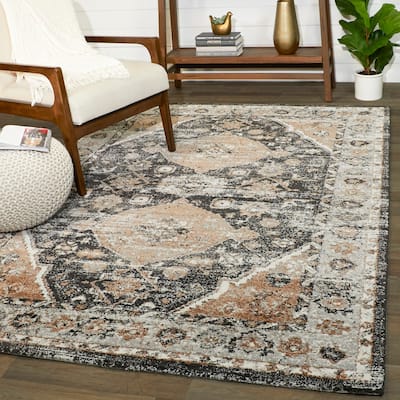 Dion Vintage Medallion Area Rug