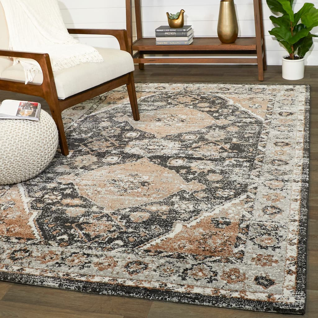 Dion Vintage Medallion Area Rug