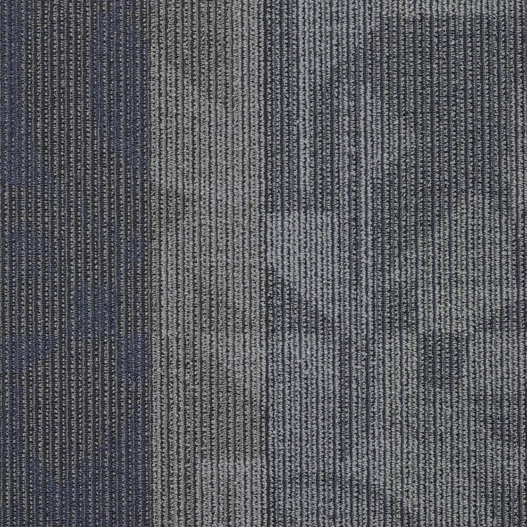 Shaw Philadelphia Commercial Feed Back 24" x 24" Glue Down Carpet Tile