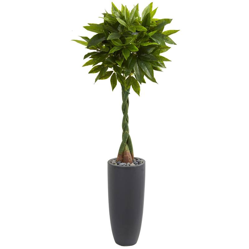 6ft Money Artificial Tree in Gray Cylinder Planter with Real Touch Green Leaves and Braided Trunk for Modern Spaces