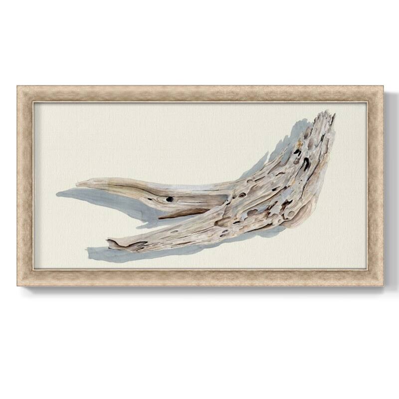Driftwood Study III Premium Framed Canvas- Ready to Hang