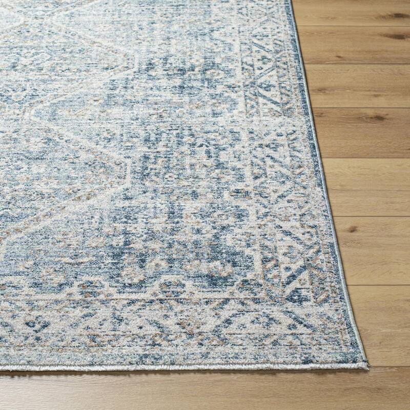 Ingle Traditional Medallion Area Rug