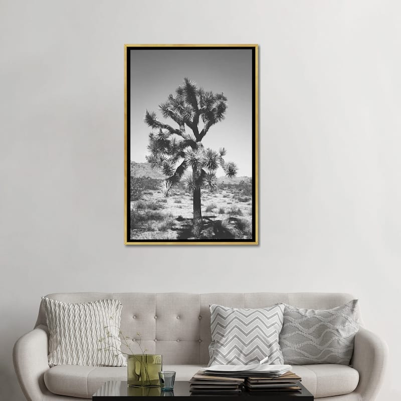 iCanvas "Joshua Tree I" by Ann Hudec Framed Canvas Print