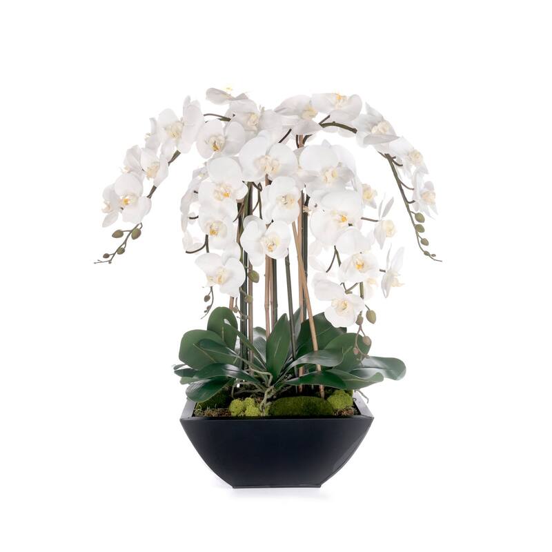 Real Touch White Orchids Flower Arrangement in Black Pot