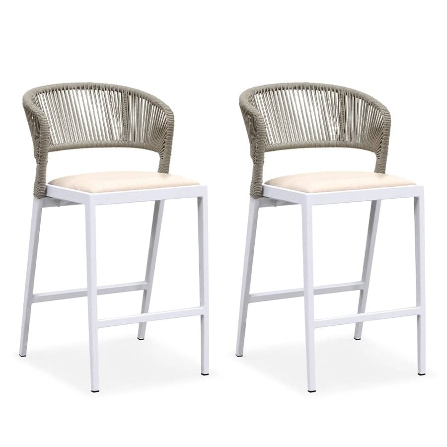 PURPLE LEAF Outdoor Counter Height Bar Stool Set of 2 Outdoor Patio Aluminum Chairs with Cushions