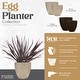 preview thumbnail 10 of 8, Southern Patio Egg Planter