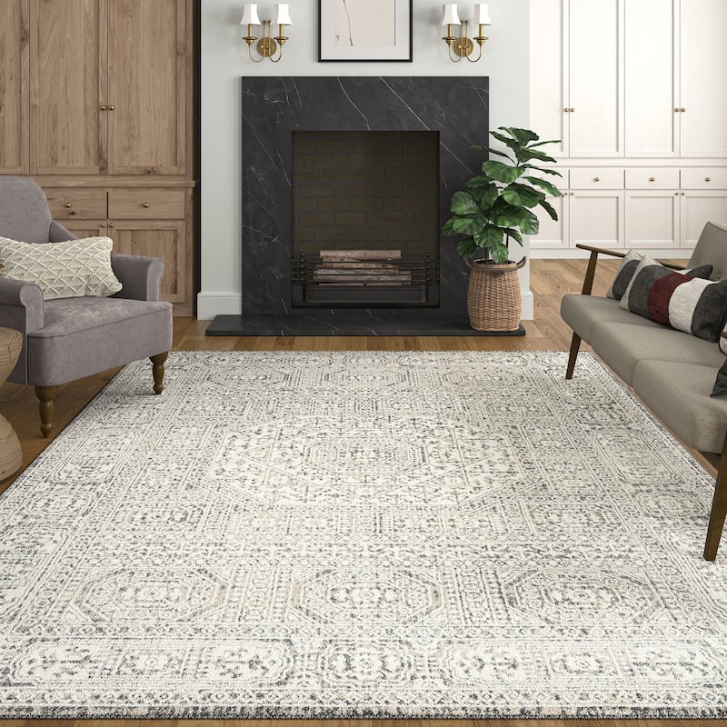 Tucson Farmhouse Oriental Indoor Area Rug