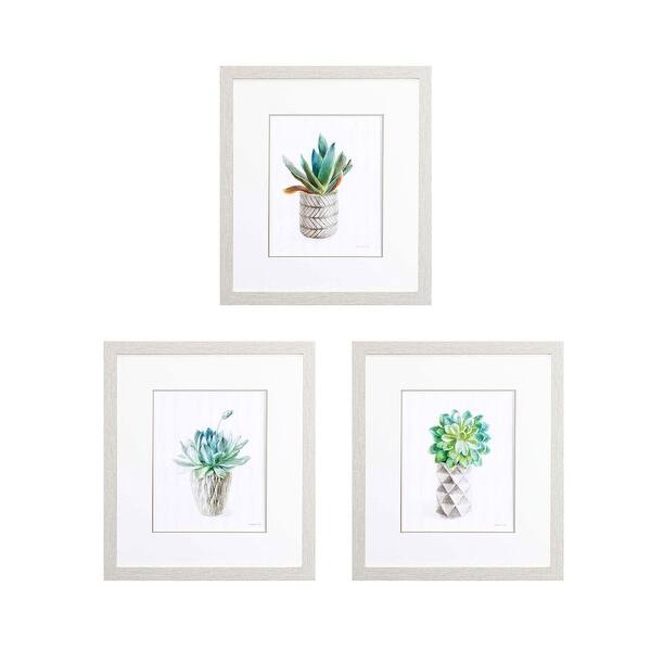 Propac Images Potted Succulent B Set of 3 Wall Art - Green - Bed Bath ...