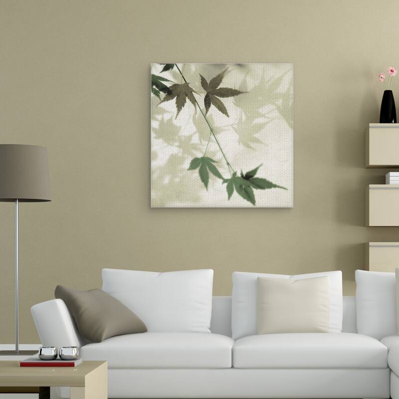 Japanese Maple #2 by Alan Blaustein Canvas Art Print