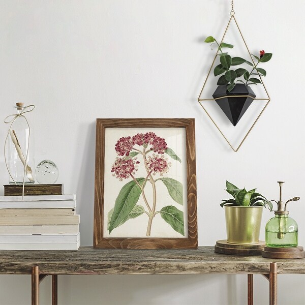 Antique Botanical Collection XI -Framed Print w/glass-Cherry