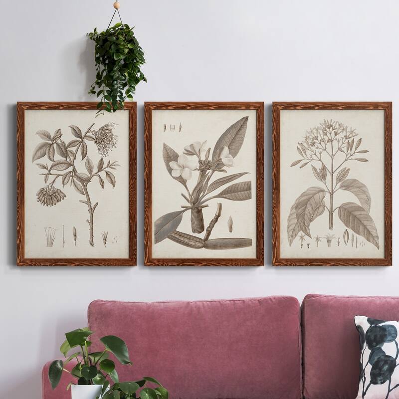Antique Sepia Botanicals I-Premium Framed Canvas - Ready to Hang ...
