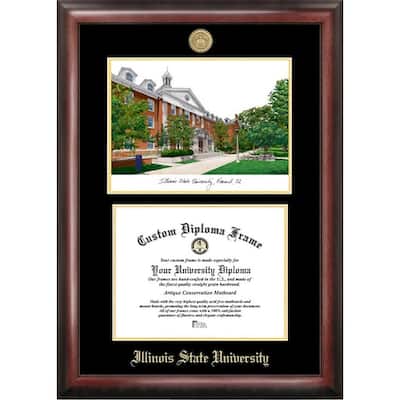Illinois State 10w x 8h Gold Embossed Diploma Frame with Campus Images Lithograph