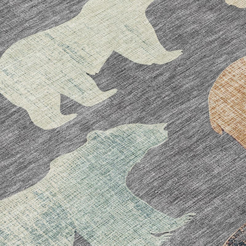 Machine Washable Indoor/ Outdoor Modern Bear Chantille Rug