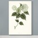 preview thumbnail 3 of 8, Sage Botanical I -Premium Gallery Wrapped Canvas