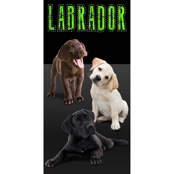 Beach Towel 30x60 Labrador Dog Mans Best Friend