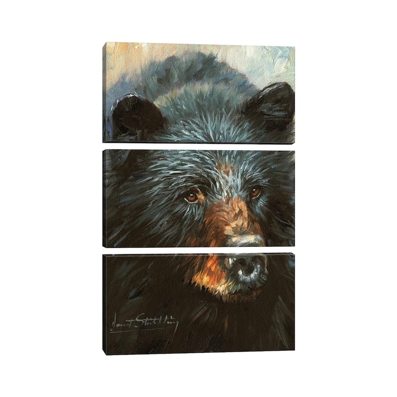 iCanvas "Black Bear" by David Stribbling 3-Piece Canvas Wall Art Set