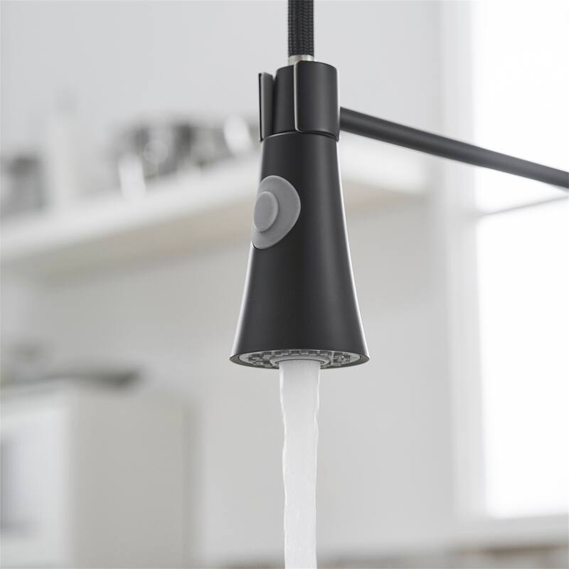 Commercial Kitchen Faucet with Pull out Sprayer