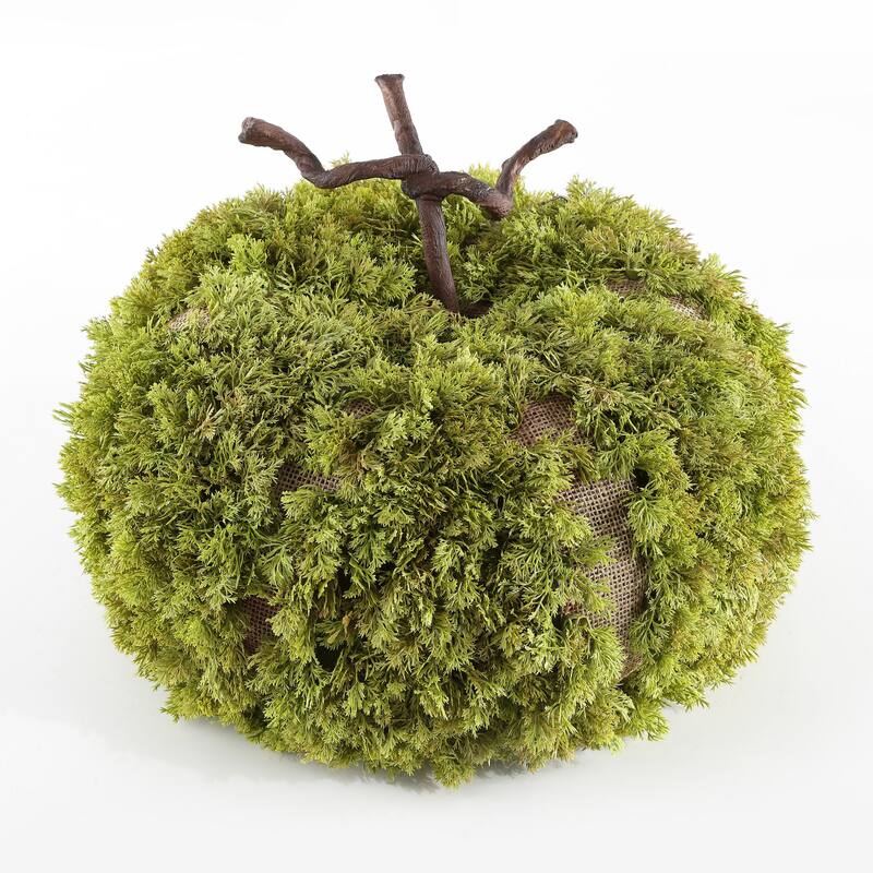 SAFAVIEH Faux 15 Inch Moss Pumpkin - 15" W x 15" D x 11" H
