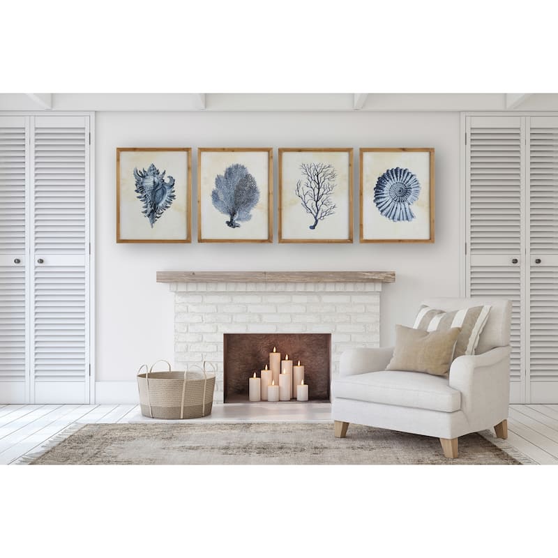 Wood Framed Wall Art with Shells & Coral