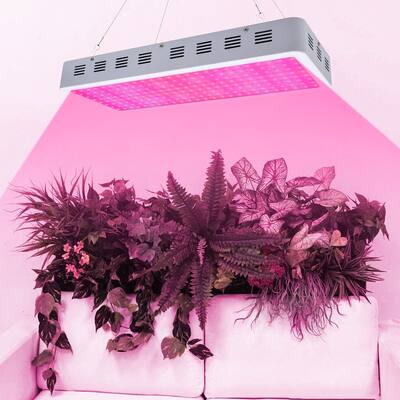 3000W Dual Chips Full Light Spectrum LED Plant Growth Lamp - White