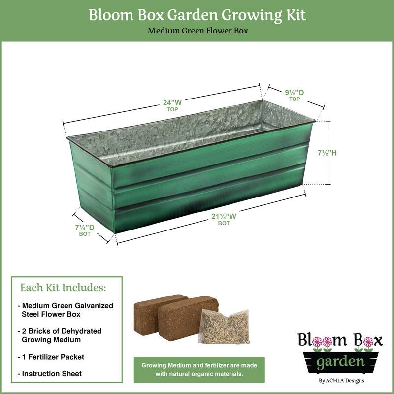 Achla Designs 24" W Medium Galvanized Steel Indoor Outdoor Bloom Box Garden Growing Kit, Garden Accent