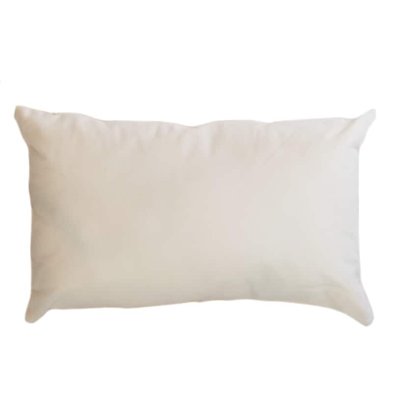 Havana Green Accent Pillow Cushion Set of 2