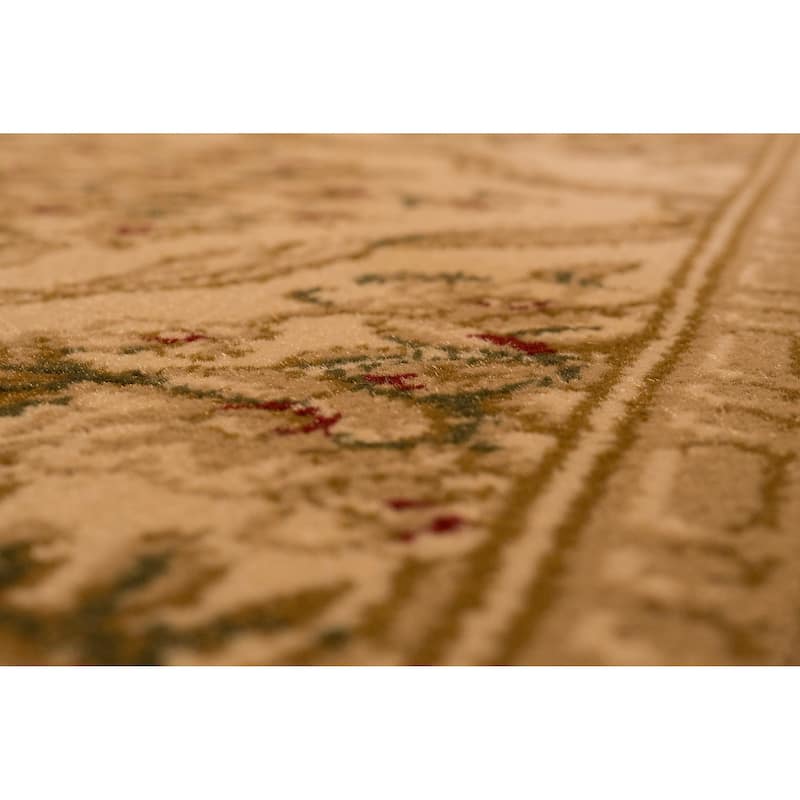 Dynamic Rugs Legacy Traditional Area Rug