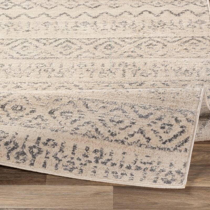 Livabliss Isidore Boho Transitional Area Rug