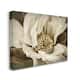 Stupell Rustic Flower Close Up Canvas Wall Art Design by Rachel Perry ...