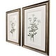 preview thumbnail 2 of 3, Paragon Botanical Whites Framed Art - Set of 2