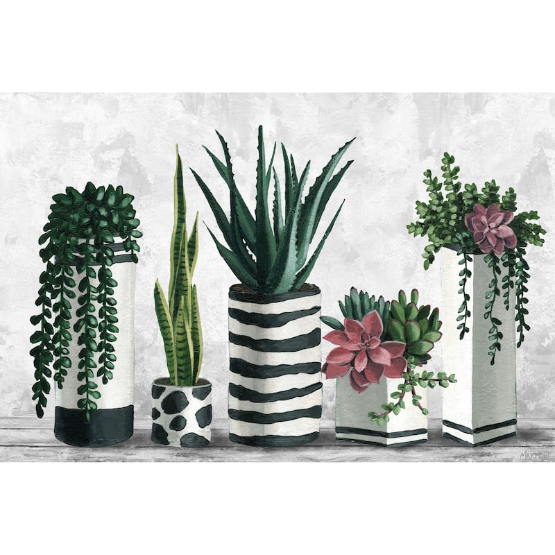 'Succulents and Patterned Pots' Painting Print on Wrapped Canvas