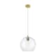 Option Brushed Brass / Clear Shade