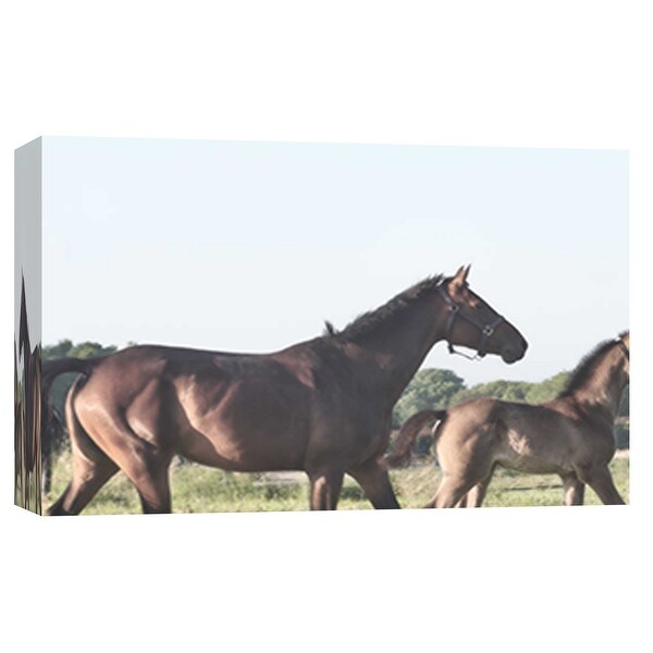PTM Images 9-101875 PTM Canvas Collection 8" x 10" - "Schagen Trotting" Giclee Horses Art Print on Canvas
