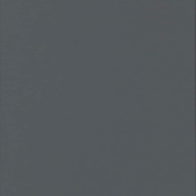 Modern Grey Twin/Twin Bunk Bed with Built-in Ladder and Guardrails