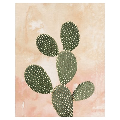 Desert Wash Coral I by Belle Maison Canvas Art Print