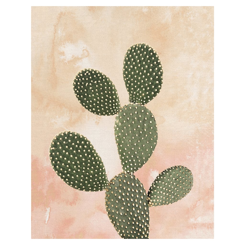 Desert Wash Coral I by Belle Maison Canvas Art Print