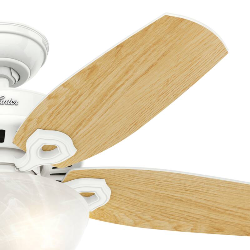 Hunter 42" Builder Ceiling Fan with LED Light Kit and Pull Chain