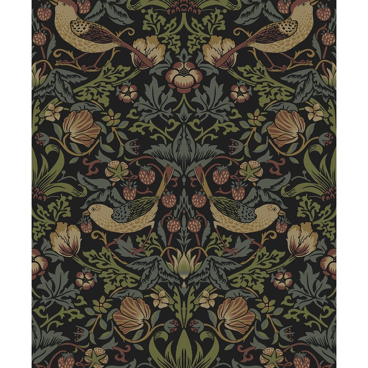 Option Black