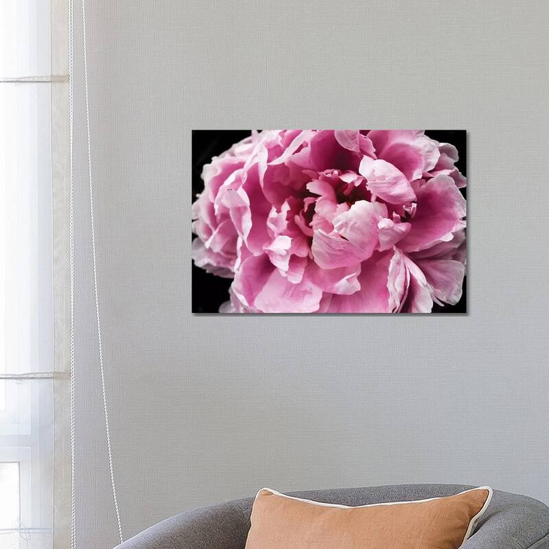 iCanvas "Pink Peony Passion IV" by Irena Orlov Canvas Print - 18x26x1.5