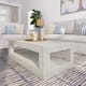 Option Coastal White Wirebrush