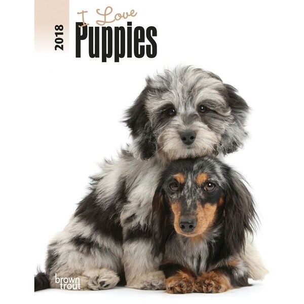I Love Puppies 2018 6 X 7 75 Inch Weekly Engagement Calendar Animals Dog Breeds